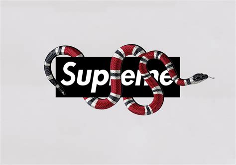 supreme x gucci patch